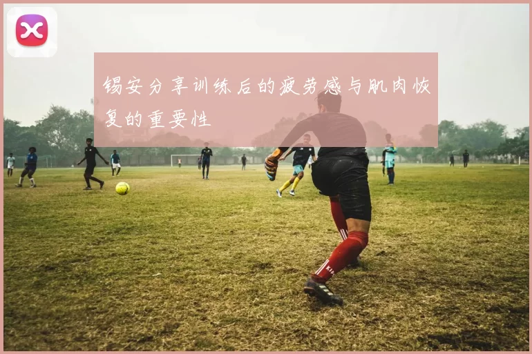 锡安分享训练后的疲劳感与肌肉恢复的重要性